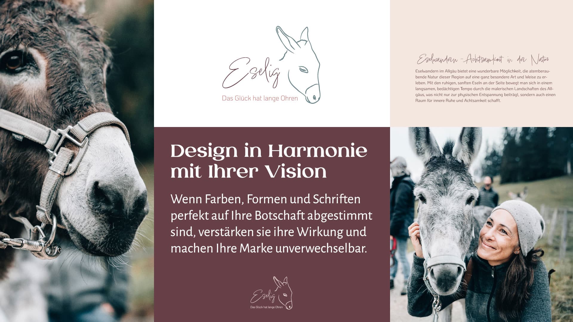 Grafikdesign & Webdesign für Unternehmen – responsive Website