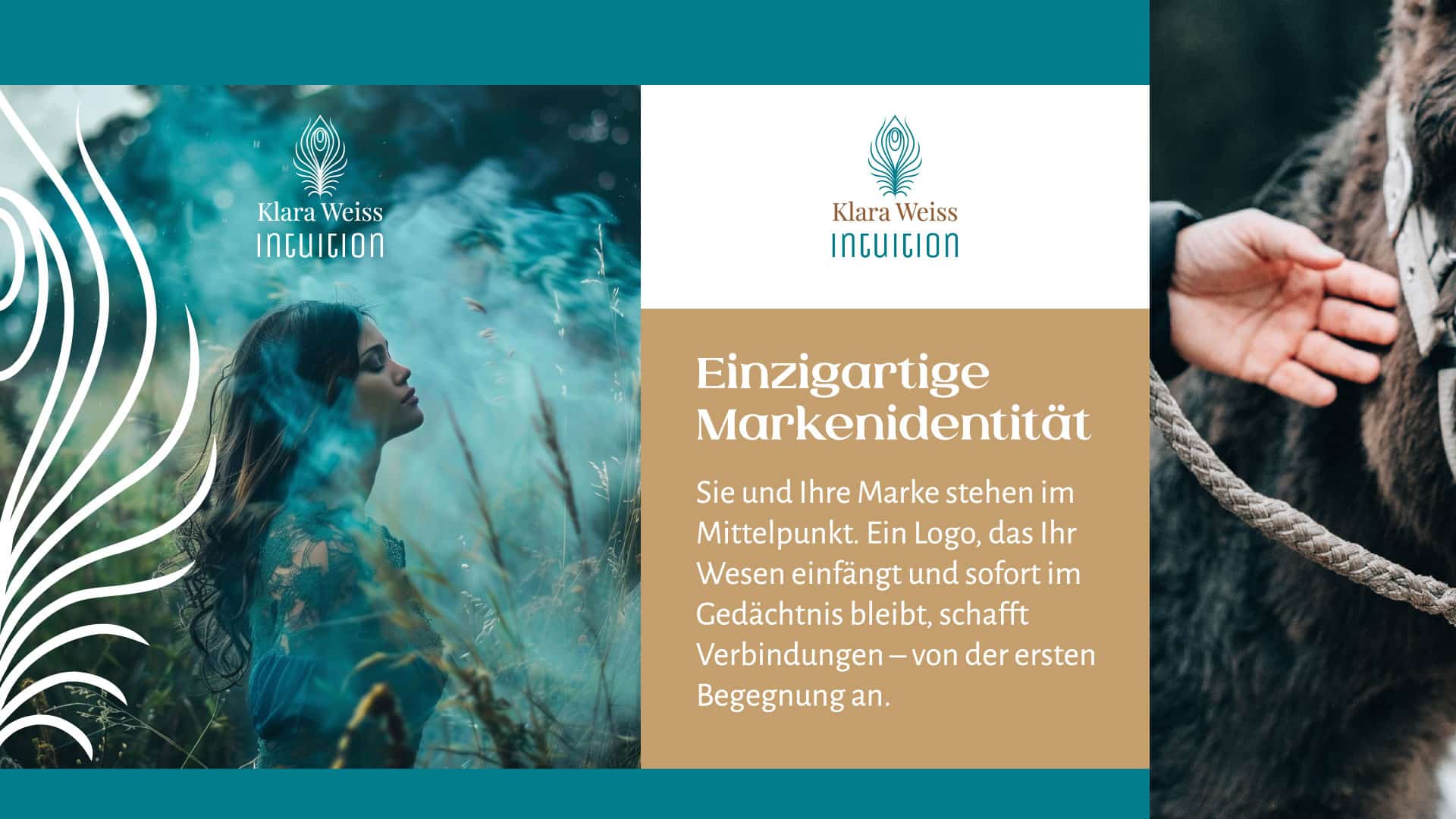 Ganzheitliches Branding für Unternehmen – Logo & Farbwelt